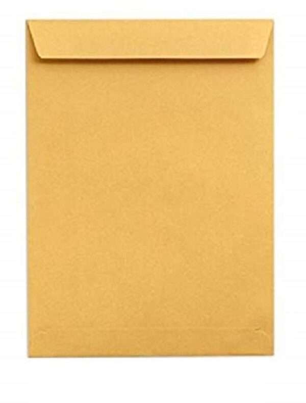 Brown Envelop